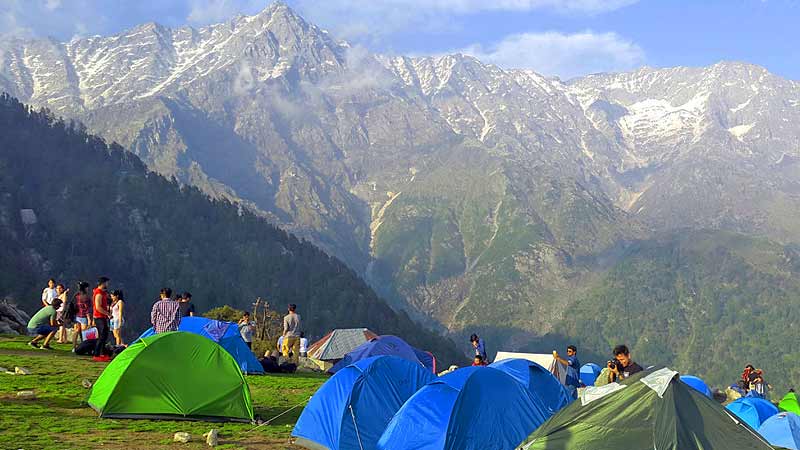 Trekking Camping in Dharamshala